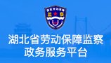 高质量参保 智慧化服务