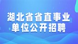 统计月份