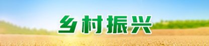 公平正义的抵达