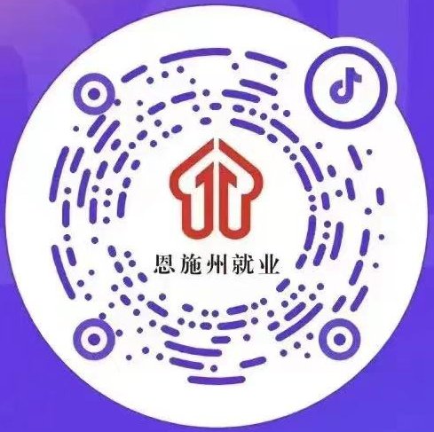 政府网站标识码