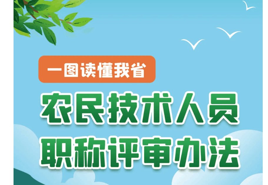 职称三支一扶社保招聘